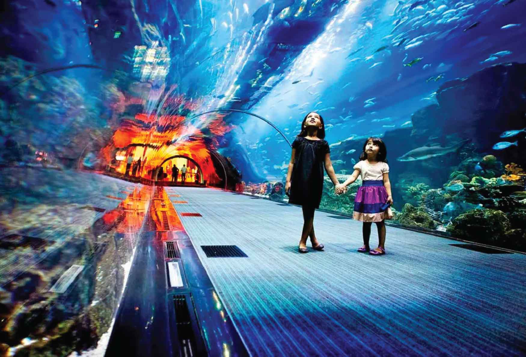 Dubai Aquarium And Underwater Zoo